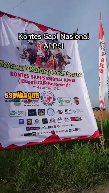 Kontes-Sapi-APPSI-2023-Karawang-Tiktok.jpg